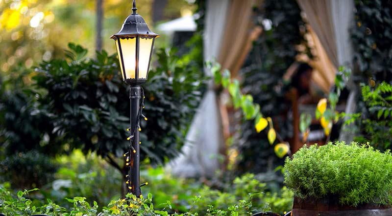 Garten Ratgeber