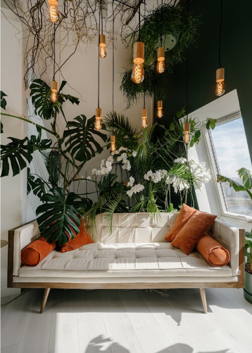 Couch umgeben von Pflanzen