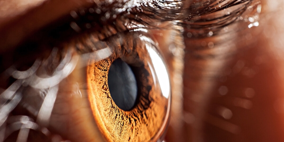 Was ist ein Blinder Fleck im menschlichen Auge?
