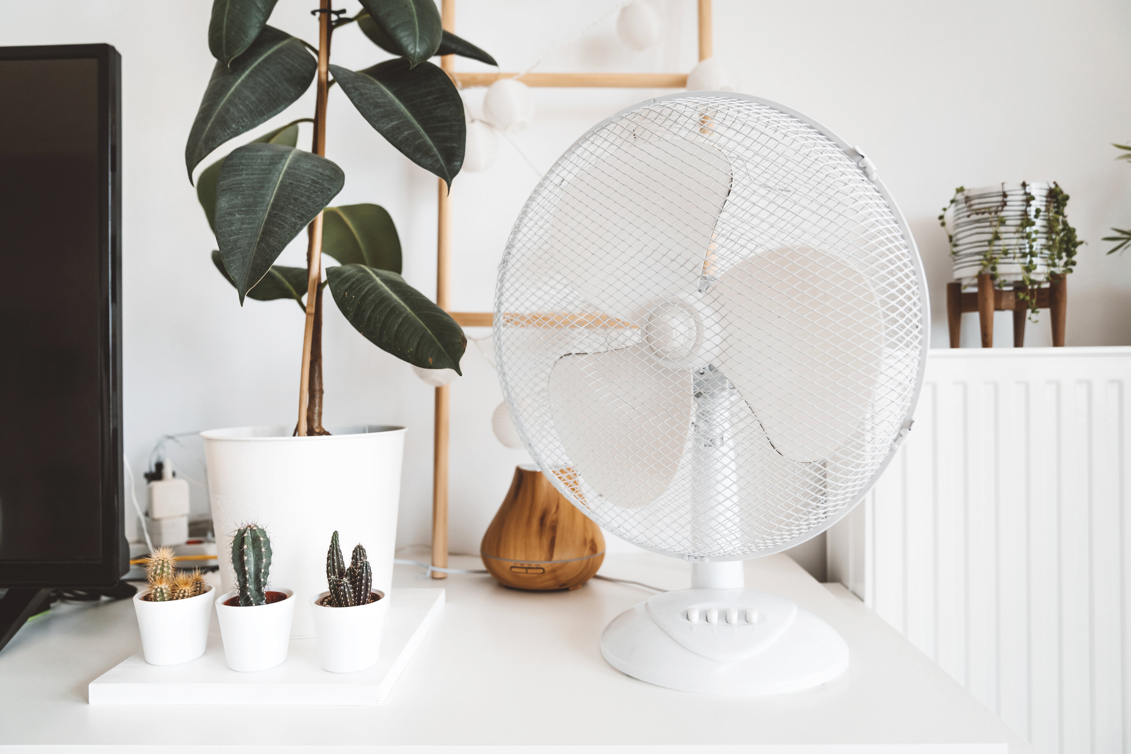 Ventilator richtig aufstellen – effektiv abkühlen