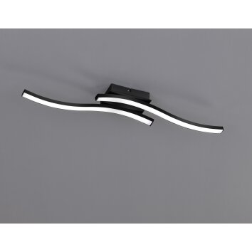 Reality Route Deckenleuchte LED Schwarz, 2-flammig