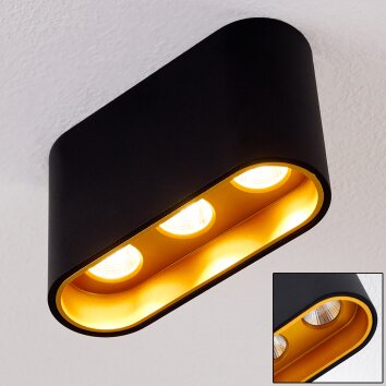 Dalarna Deckenleuchte LED Schwarz-Gold, 1-flammig