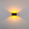 Dapp Wandleuchte Gold, Schwarz, 1-flammig