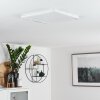 Siguna LED Panel Weiß, 1-flammig