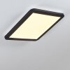 Siguna LED Panel Schwarz, Weiß, 1-flammig