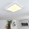 Siguna LED Panel Weiß, 1-flammig