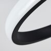 Cochato Deckenleuchte LED Schwarz, Weiß, 2-flammig