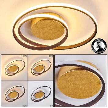 Leksund Deckenleuchte LED Gold, 2-flammig