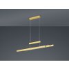 Trio Leuchten Trajan Pendelleuchte LED Messing, 3-flammig