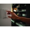 Philips Hue Ambiance White Runner Deckenspot Basis-Set Schwarz, 2-flammig, Fernbedienung