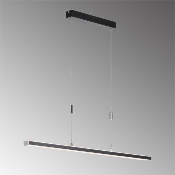 Fischer & Honsel Vitan Pendelleuchte LED Schwarz, 1-flammig