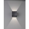 Fischer & Honsel Wall Wandleuchte LED Schwarz, 2-flammig