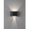 Fischer & Honsel Wall Wandleuchte LED Schwarz, 2-flammig