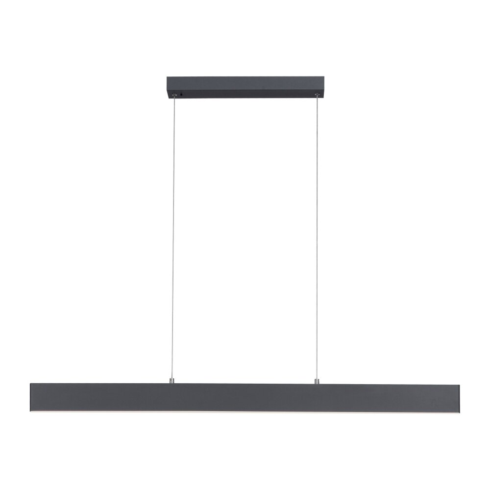 Leuchten Direkt NILA Pendelleuchte LED Anthrazit, 2-flammig, Fernbedienung main product photo