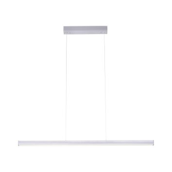 Leuchten Direkt NIRO Pendelleuchte LED Nickel-Matt, 2-flammig