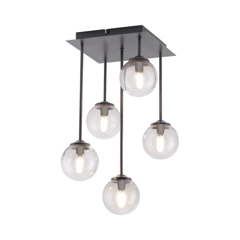 Paul Neuhaus WIDOW Deckenleuchte LED Schwarz, 5-flammig main product photo