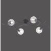 Paul Neuhaus WIDOW Deckenleuchte LED Schwarz, 4-flammig