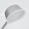 Pineda Tischleuchte LED Chrom, 1-flammig
