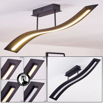 Teresina Deckenleuchte LED Schwarz, 1-flammig, Fernbedienung
