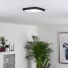 Kragos Deckenpanel LED Schwarz, Weiß, 1-flammig