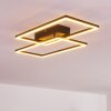 Cheka Deckenleuchte LED Schwarz, 2-flammig, Fernbedienung