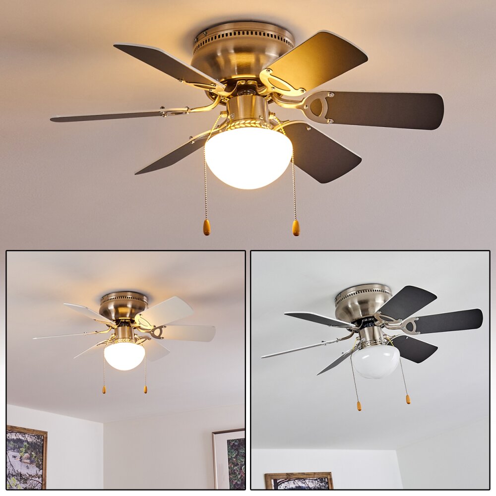 Trillo Deckenventilator Grau, Nickel-Matt, Weiß, 1-flammig main product photo