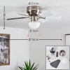 Trillo Deckenventilator Grau, Nickel-Matt, Weiß, 1-flammig