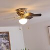 Trillo Deckenventilator Grau, Nickel-Matt, Weiß, 1-flammig