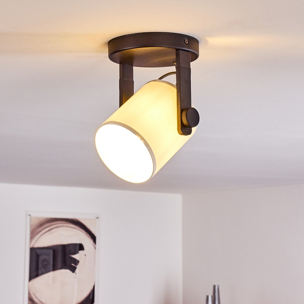 Gibraltar Deckenleuchte Schwarz, 1-flammig main product photo