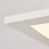 Sordos Deckenleuchte LED Weiß, 1-flammig, Bewegungsmelder