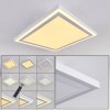 Salamo LED Panel Weiß, 2-flammig