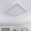 Salamo LED Panel Weiß, 2-flammig