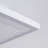 Salamo LED Panel Weiß, 2-flammig, Fernbedienung