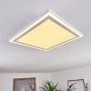 Salamo LED Panel Weiß, 2-flammig