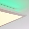 Turbala LED Panel Weiß, 2-flammig, Fernbedienung, Farbwechsler