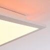 Turbala LED Panel Weiß, 2-flammig, Fernbedienung, Farbwechsler