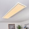 Salamo LED Panel Weiß, 2-flammig, Fernbedienung