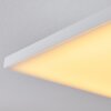 Salamo LED Panel Weiß, 1-flammig, Fernbedienung