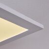 Sordos  LED Panel Weiß, 1-flammig, Bewegungsmelder