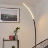 Tobillos Stehleuchte LED Schwarz, 1-flammig