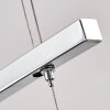 Balcairn Pendelleuchte LED Nickel-Matt, 4-flammig