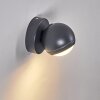 Kapowai Außenwandleuchte LED Anthrazit, 1-flammig