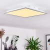 Nexo LED Panel Weiß, 1-flammig