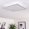 Nexo LED Panel Weiß, 1-flammig