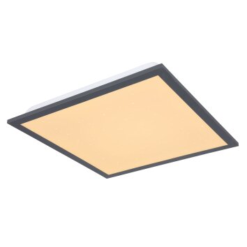 Globo DORO LED Panel Weiß, 1-flammig