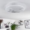 Suno Deckenleuchte LED Transparent, Klar, Weiß, 1-flammig, Fernbedienung