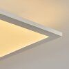 Nexo LED Panel Weiß, 2-flammig