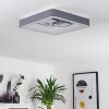 Gabbiana Deckenleuchte LED Grau, Weiß, 1-flammig, Fernbedienung
