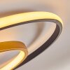Trapani Deckenleuchte LED Gold, Schwarz, 1-flammig, Fernbedienung, Farbwechsler