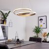 Rokera Pendelleuchte LED Nickel-Matt, 1-flammig